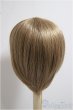 画像2: 9-10inch/ウィッグ/インチ　BJD　MJD　ドール用 A-25-06-04-154-KD-ZA (2)