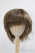画像1: 9-10inch/ウィッグ/インチ　BJD　MJD　ドール用 A-25-05-28-400-KD-ZA (1)