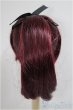 画像2: 9-10inch/ウィッグ/インチ　BJD　MJD　ドール用 A-25-05-28-394-KD-ZA (2)