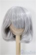 画像1: 9-10inch/ウィッグ/インチ　BJD　MJD　ドール用 A-25-05-28-399-KD-ZA (1)