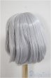 画像2: 9-10inch/ウィッグ/インチ　BJD　MJD　ドール用 A-25-05-28-399-KD-ZA (2)
