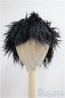 画像1: 8-9inch/ウィッグ　ボア/インチ　BJD　MJD　ドール用 A-25-06-04-151-KD-ZA (1)