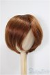 画像1: 9-10inch/ウィッグ/インチ　BJD　MJD　ドール用 A-25-05-28-343-KD-ZA (1)