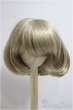 画像1: 9-10inch/ウィッグ/インチ　BJD　MJD　ドール用 A-25-06-04-155-KD-ZA (1)