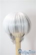 画像1: 7-8inch/ウィッグ U-25-06-17-020-NY-ZU (1)