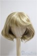 画像1: 9inch/ウィッグ/インチ　BJD　MJD　ドール用 A-25-06-04-156-NY-ZA (1)