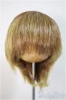 画像1: 8inch/ウィッグ/インチ　BJD　MJD　ドール用 A-25-10-22-370-NY-ZA (1)