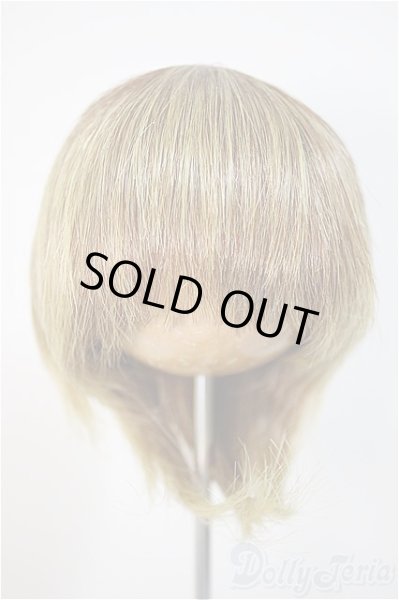 画像1: 8inch/ウィッグ/インチ　BJD　MJD　ドール用 A-25-10-22-370-NY-ZA (1)