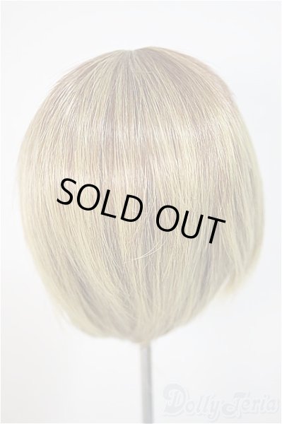 画像2: 8inch/ウィッグ/インチ　BJD　MJD　ドール用 A-25-10-22-370-NY-ZA (2)