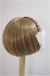 画像2: 9inch/ウィッグ/インチ　BJD　MJD　ドール用 A-25-06-04-273-NY-ZA (2)