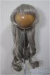 画像1: 8-9inch/ウィッグ/インチ　BJD　MJD　ドール用 A-25-06-04-393-NY-ZA (1)