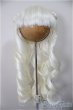 画像1: 9inch/ウィッグ/インチ　BJD　MJD　ドール用 A-25-06-04-394-NY-ZA (1)