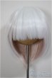 画像1: 8-9inch/ウィッグ/インチ　BJD　MJD　ドール用 A-25-06-11-142-NY-ZA (1)
