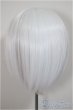 画像2: 8-9inch/ウィッグ/インチ　BJD　MJD　ドール用 A-25-06-11-142-NY-ZA (2)