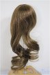 画像2: 8-9inch/ウィッグ/インチ　BJD　MJD　ドール用 A-25-06-11-269-NY-ZA (2)