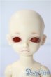 画像1: 幼SD/くん U-25-06-24-211-NY-ZU (1)