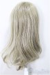 画像2: 8-9inch/ウィッグ/インチ　BJD　MJD　ドール用 A-25-07-02-143-NY-ZA (2)