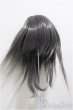 画像1: 8-9inch/ウィッグ/インチ　BJD　MJD　ドール用 A-25-06-18-226-NY-ZA (1)