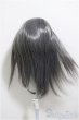 画像2: 8-9inch/ウィッグ/インチ　BJD　MJD　ドール用 A-25-06-18-226-NY-ZA (2)