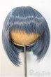 画像1: 8-9inch/ウィッグ/インチ　BJD　MJD　ドール用 A-25-06-18-197-KD-ZA (1)