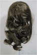 画像2: 8-9inch/ウィッグ/インチ　BJD　MJD　ドール用 A-25-07-02-135-NY-ZA (2)