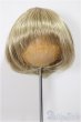 画像1: 8-9inch/ウィッグ/インチ　BJD　MJD　ドール用 A-25-07-02-140-NY-ZA (1)