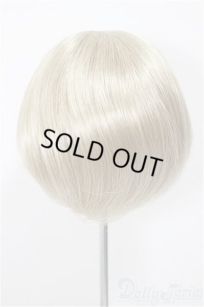 画像2: 8-9inch/ウィッグ/インチ　BJD　MJD　ドール用 A-25-07-02-140-NY-ZA (2)