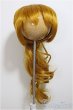 画像1: 9-10inch/ウィッグ　DOLLCE製/インチ　BJD　MJD　ドール用 A-25-06-25-276-NY-ZA (1)