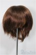 画像1: 6-7inch/ウィッグ/インチ　BJD　MJD　ドール用 A-25-06-18-319-KD-ZA (1)