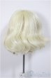 画像2: 6-7inch/ウィッグ/インチ　BJD　MJD　ドール用 A-25-06-18-318-KD-ZA (2)