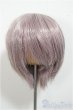 画像1: 8-9inch/ウィッグ/インチ　BJD　MJD　ドール用 A-25-06-25-200-NY-ZA (1)
