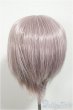 画像2: 8-9inch/ウィッグ/インチ　BJD　MJD　ドール用 A-25-06-25-200-NY-ZA (2)