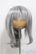 画像1: 8-9inch/ウィッグ　PenginWorkshop様製/インチ　BJD　MJD　ドール用 A-25-06-25-197-NY-ZA (1)