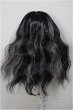 画像2: 8-9inch/ウィッグ/インチ　BJD　MJD　ドール用 A-25-06-25-243-NY-ZA (2)