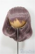 画像1: 8-9inch/ウィッグ/インチ　BJD　MJD　ドール用 A-25-06-25-248-NY-ZA (1)