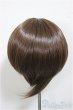 画像2: 8-9inch/ウィッグ/インチ　BJD　MJD　ドール用 A-25-06-25-198-NY-ZA (2)