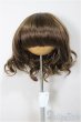 画像1: 7-8inch/ウィッグ/インチ　BJD　MJD　ドール用 A-25-06-25-207-NY-ZA (1)