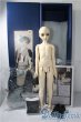 画像8: SD男の子 /アルト 星間学寮Ver. Alto in Boys' Dormitory Ver.  U-25-07-08-220-NY-ZU (8)