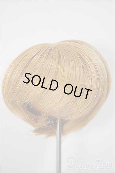 画像1: 7-8inch/ウィッグ/インチ　BJD　MJD　ドール用 A-25-10-22-358-NY-ZA (1)