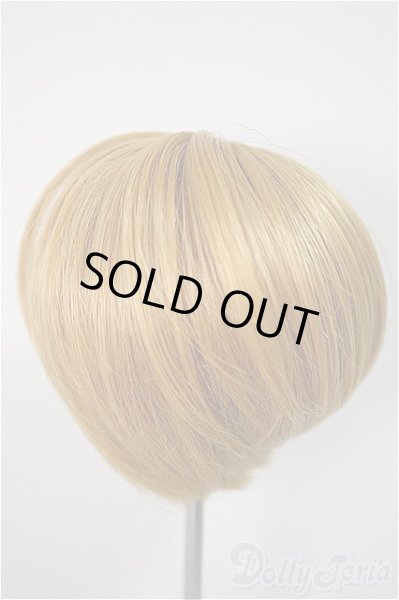 画像2: 7-8inch/ウィッグ/インチ　BJD　MJD　ドール用 A-25-10-22-358-NY-ZA (2)