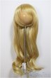 画像1: 8-9inch/ウィッグ　Hannasu製/インチ　BJD　MJD　ドール用 A-25-06-25-270-NY-ZA (1)