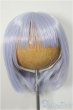 画像1: 8-9inch/ウィッグ ふにゃほわ様製/インチ BJD MJD ドール用 A-25-10-29-186-NY-ZA (1)