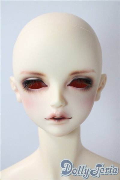 画像1: SDGｒ男の子/F-75　フルチョイス U-25-07-08-217-NY-ZU (1)