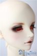 画像2: SDGｒ男の子/F-75　フルチョイス U-25-07-08-217-NY-ZU (2)
