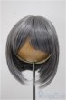 画像1: 8-9inch/ウィッグ/インチ　BJD　MJD　ドール用 A-25-07-02-132-NY-ZA (1)