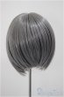 画像2: 8-9inch/ウィッグ/インチ　BJD　MJD　ドール用 A-25-07-02-132-NY-ZA (2)