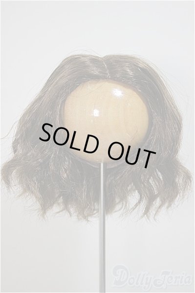 画像1: 8-9inch/ウィッグ/インチ　BJD　MJD　ドール用 A-25-10-22-362-NY-ZA (1)