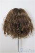 画像2: 8-9inch/ウィッグ/インチ　BJD　MJD　ドール用 A-25-07-02-153-NY-ZA (2)