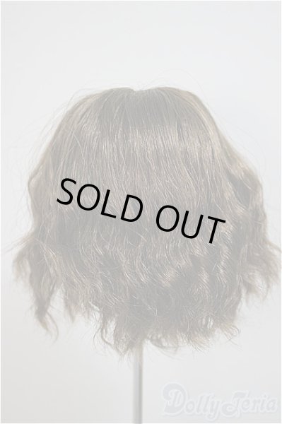 画像2: 8-9inch/ウィッグ/インチ　BJD　MJD　ドール用 A-25-10-22-362-NY-ZA (2)