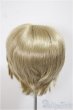 画像2: 8〜9inch/モヘアウィッグ：KamR様製/インチ　BJD　MJD　ドール用 A-25-08-13-320-NY-ZA (2)